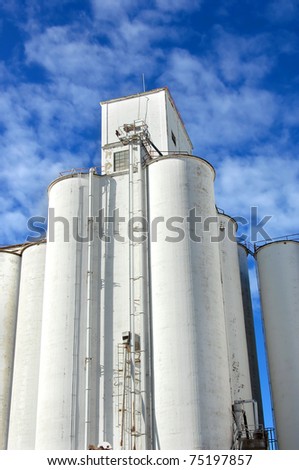 Grain elevator is icon in the small community of Andale, Kansas.  White cylinder tower into a vivid blue sky.