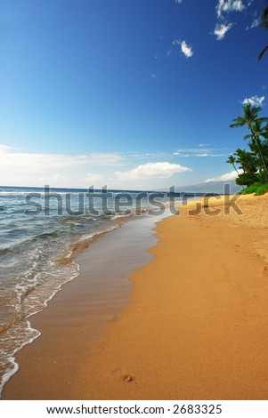 hawaii beaches with palm trees. stock photo : deserted each with palm trees on the island of Maui in Hawaii