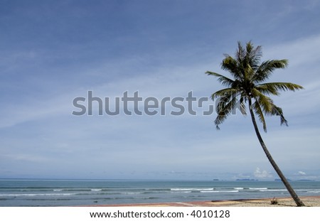 palm tree with ocean and Islands and copy space
