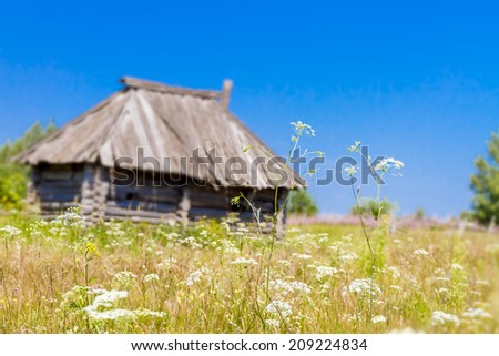 rural landscape with wooden house and birch trees, country side russia
