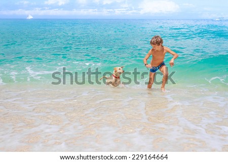 young happy child boy having fun with white dog in the sea, summer vacation