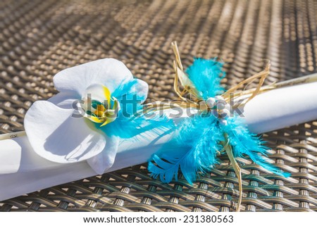 rolled wedding certificated decorated with flowers and feathers on natural background