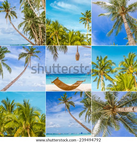 collage set of tropical beach vacation, summer holidays, relax on sand beach, coconut tree palms, sky and beach background collection
