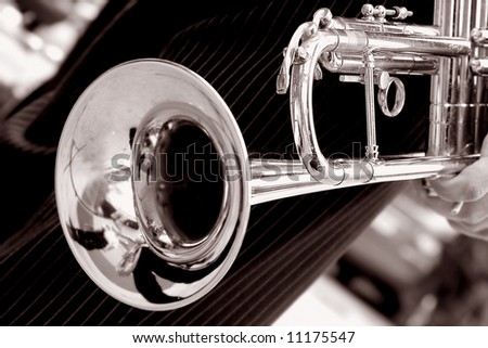 White Trumpet