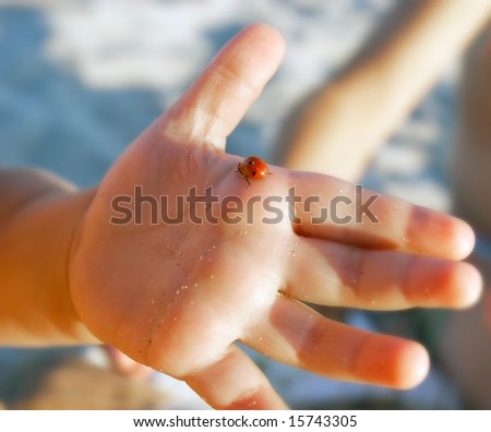 lady bug on baby\'s palm