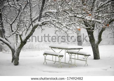 picnic place in winter