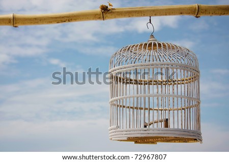bird cage over sky background
