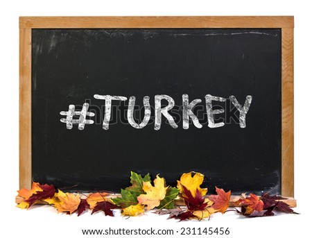 Hashtag turkey written in white chalk on a black chalkboard with fall leaves isolated on white
