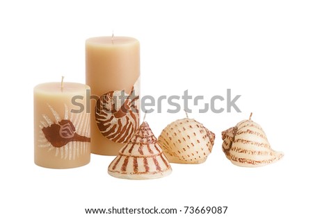 Gorgeous Bathroom on Beautiful Handmade Candle In Shell Shape Good Idea For Decorate Your