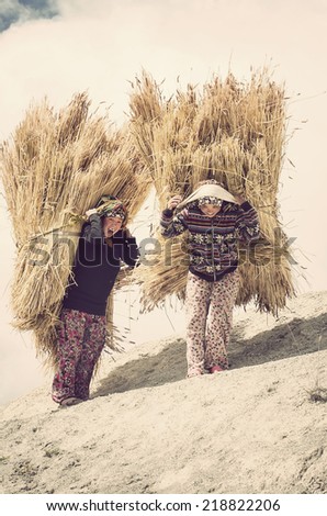 GHASA, NEPAL - OCTOBER 4: Two unidentified Nepali woman carry huge stacks of hay, as they carry it up into the mountains on October 4, 2013 in Ghasa.