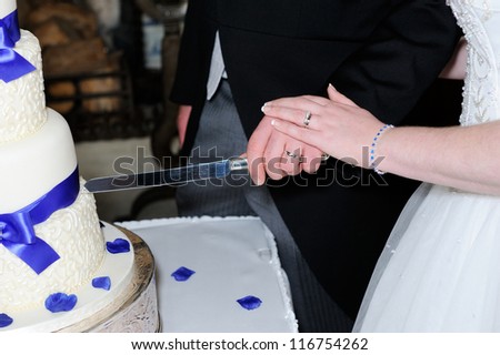 Closeup of bride and grooms hands cutting cake and showing rings