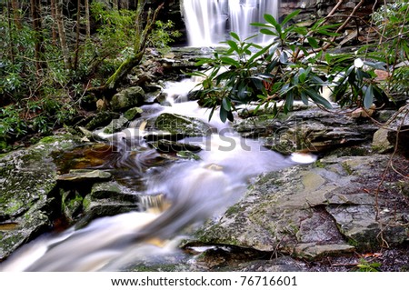 Elakala Falls, Shays Run, Blackwater Falls State Park, West Virginia, USA