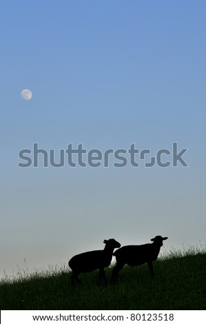 Sheep silhouette under full moon, family farm, Webster County, West Virginia, USA