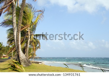 undeveloped Sally Peach beach palm trees on Caribbean Sea with native building Big Corn Island Nicaragua Central America