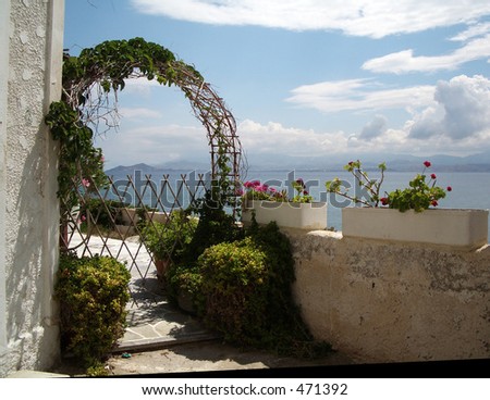 flowers over the sea with a greek island in the distance on a beautiful morning