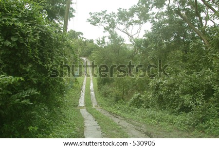 a two lane road in a developing caribbean island jungle