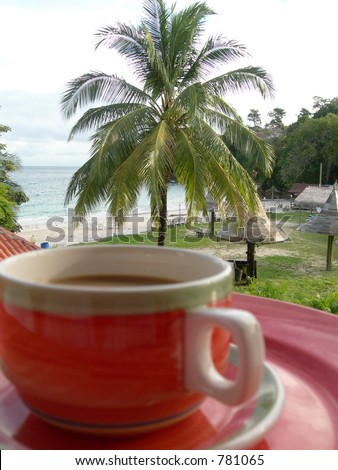 morning coffee soft focus with focus on palm tree  photographed in Isla Contadora Panama