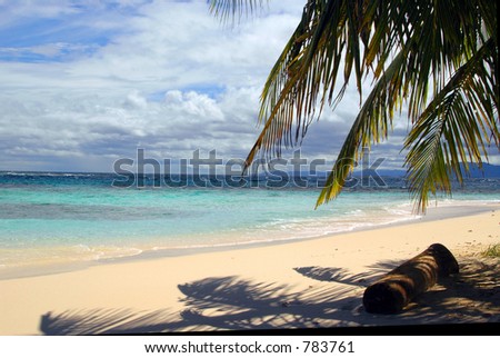 serenity of beach with palm trees San Blas Island of the Kuna Indians Caribbean Sea Panama Central America