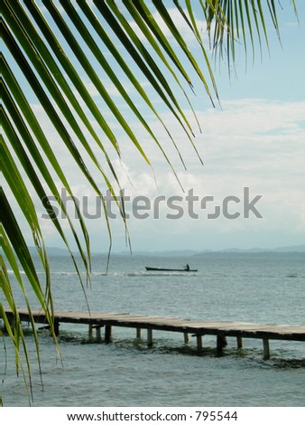 native rowing to work bocas del toro in panama with palm tree and pier in caribbean sea