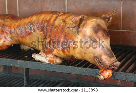 roast pig on the grill