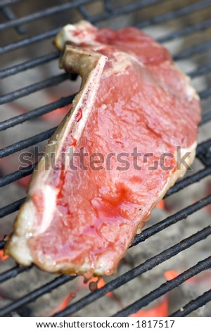 Thin Sliced Steak