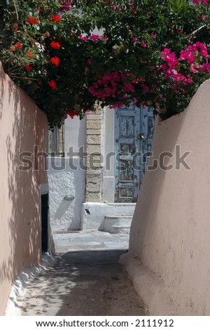 greece greek islands santorini alley with flowers and old door bougainvillea