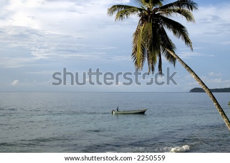 caribbean scene boat in sea with one lone palm tree nicaragua