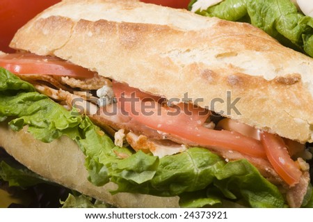 gourmet buffalo chicken sandwich panini bread bacon bleu cheese