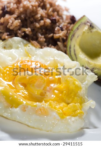 typical breakfast nicaragua fried eggs avocado gallo pinto rice and beans