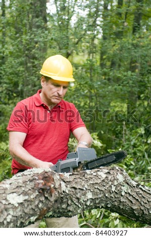 arborist tree surgeon wearing protective hard hat helmett using chain saw to cut fallen tree