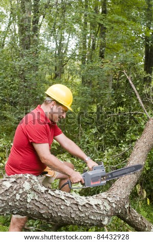 arborist tree surgeon wearing protective hard hat helmett using chain saw to cut suburban backyard tree fallen from hurricane damage