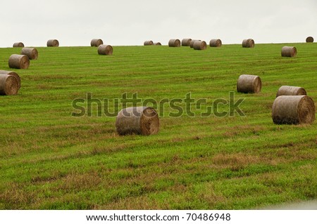 Rolls of Hay on Farm in Midwest