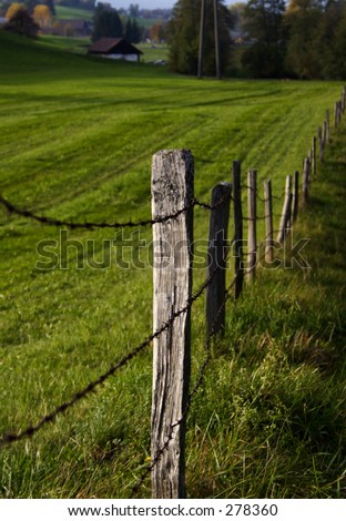 Small fence, the freedom border for some cows and goats. Location: Switzerland.