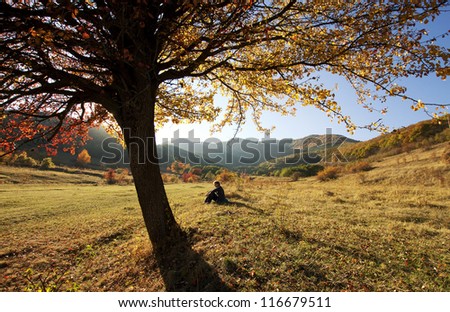 Colorful autumn tree at sunset with woman sitting and contemplating nature