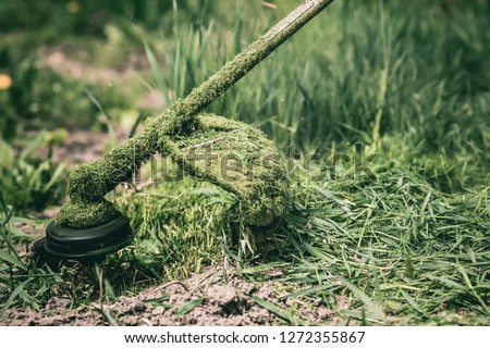 cutting grass in garden with the weed trimmer