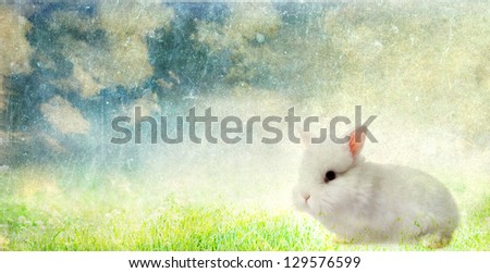 Vintage easter background with white bunny