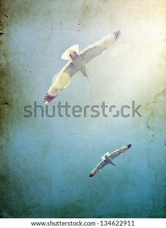 Vintage photo of flying seagulls Vintage photo of flying seagulls