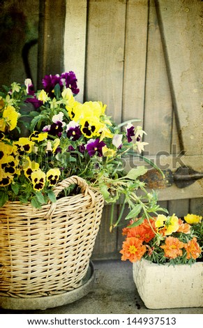 Vintage photo of rustic decoration of pot with colorful flowers