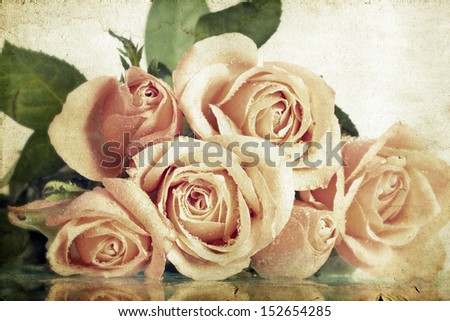 Pink roses covered with dew on vintage background
