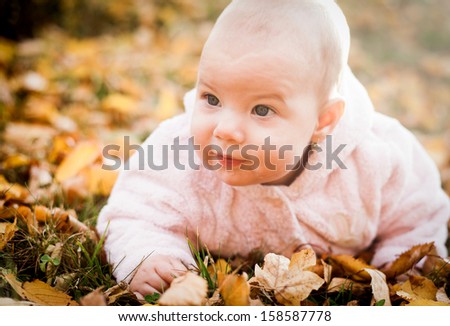 Cute baby girl on autumn leaves
