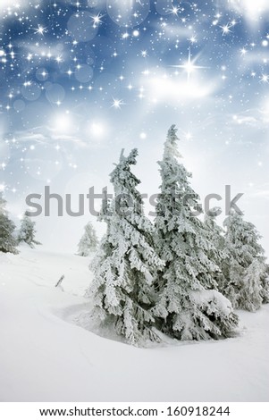 Christmas background with snowfall and snowy fir trees