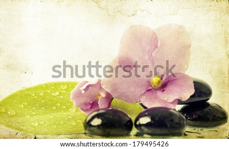 Vintage photo of black spa stones and pink flower on white background