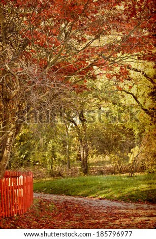 Colorful autumn, red leaves and red fence in the park