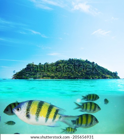Underwater picture with fish and remote island - exotic holiday concept