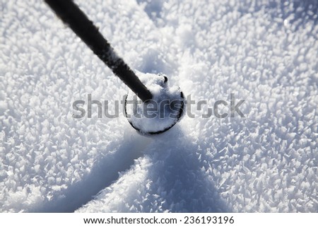 Ski stick in snow