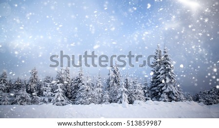 Trees covered with hoarfrost and snow in winter mountains - Christmas snowy background