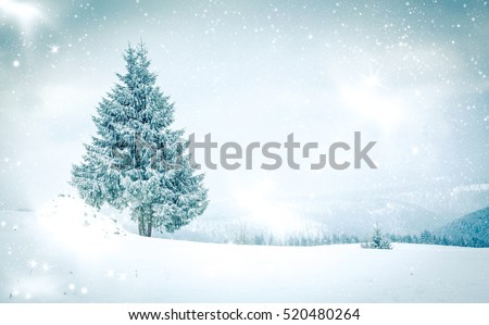 christmas background of snowy winter landscape with snow or hoarfrost covered fir trees and copy space - winter magic holiday