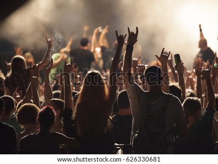 Crowd of fans at an open-air live concert