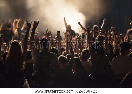 Crowd of fans at an open-air live concert
