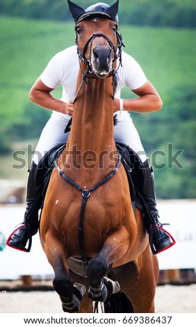 competitor and his horse jumping at an equestrian contest - funny picture of face of horse covering face of man